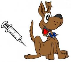Očkování psů 1
